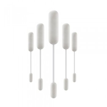 CLEAN STICK KIWI (5 PEZZI)