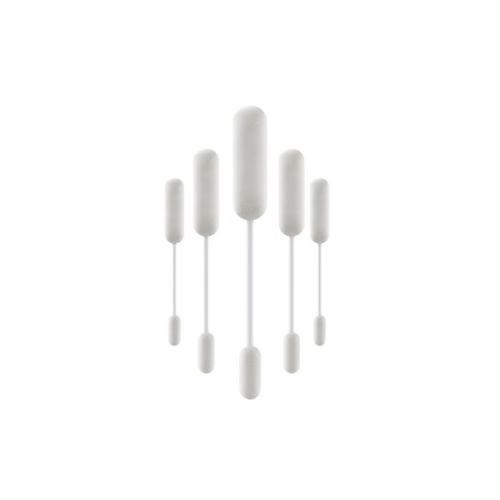 CLEAN STICK KIWI (5 PEZZI)