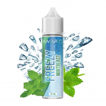 FREEZY MINTBLAST 20ML