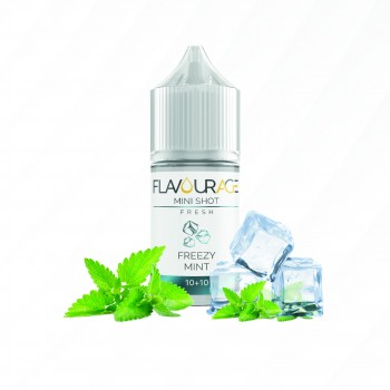Freezy Mint 10+10
